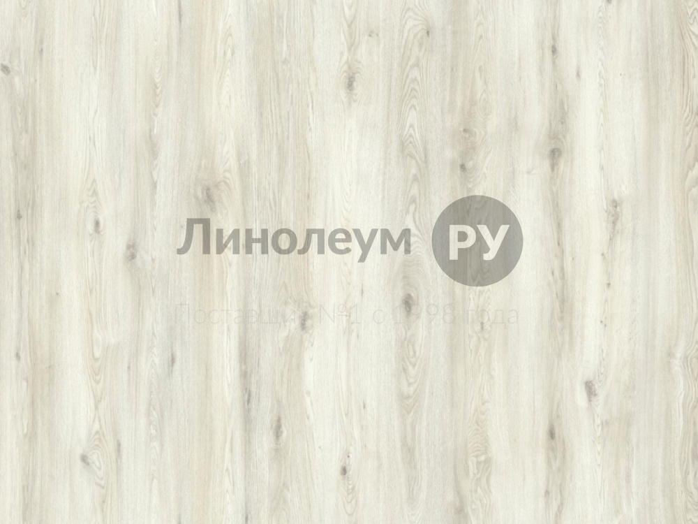 Дизайн - ДУБ ФЕРРА 100831 - (2.5 м) - Линолеум коммерческий Lino PROFI MAGNUM PRO 