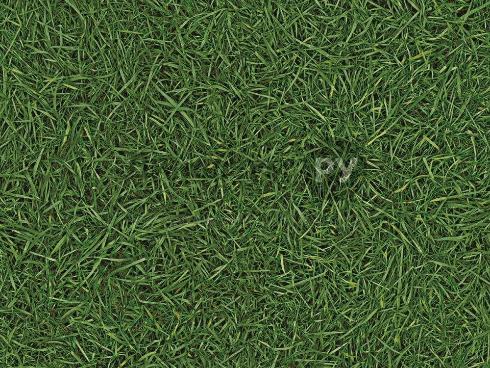 Дизайн - GRASS T25 - (3.5 м) - Линолеум коммерческий SEMI CONTRACT ViSiON 