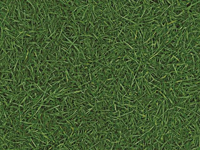 Линолеум коммерческий SEMI CONTRACT ViSiON Дизайн - GRASS T25 4.0 м - 1