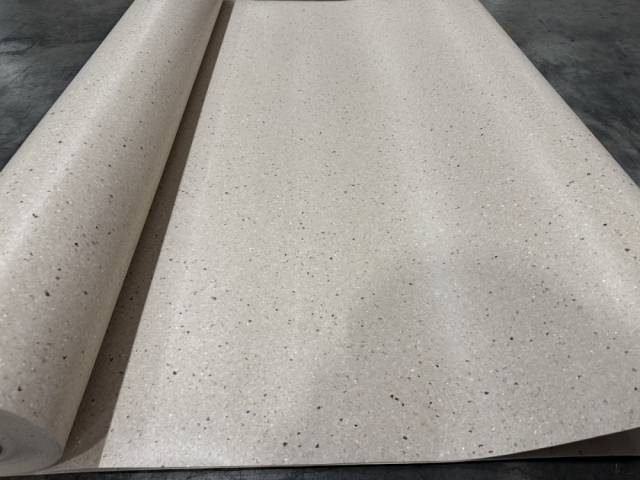 Линолеум коммерческий гомогенный IQ ZENITH 