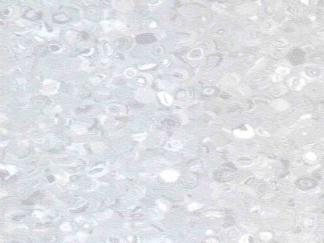 Линолеум FT MONOLITE Дизайн - LITE GREY F-1673 2.0 м