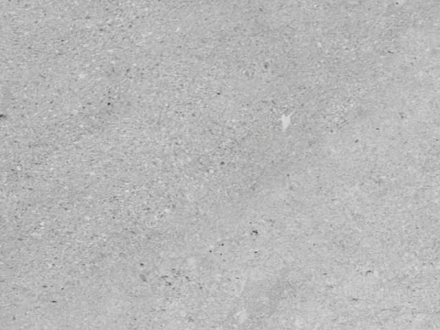 SPC плитка WALL STONE iDK Дизайн - БЕТОН НАТУРАЛЬНЫЙ 12шт - 1