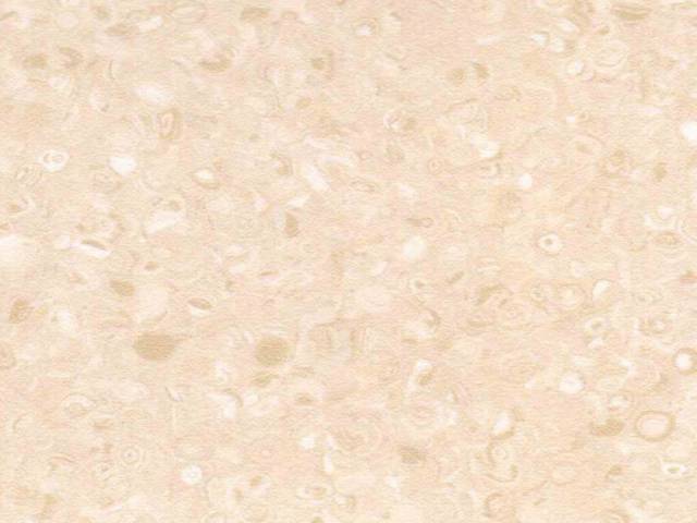 Линолеум FT MONOLITE Дизайн - LiGHT BROWN S-1653 2.0 м