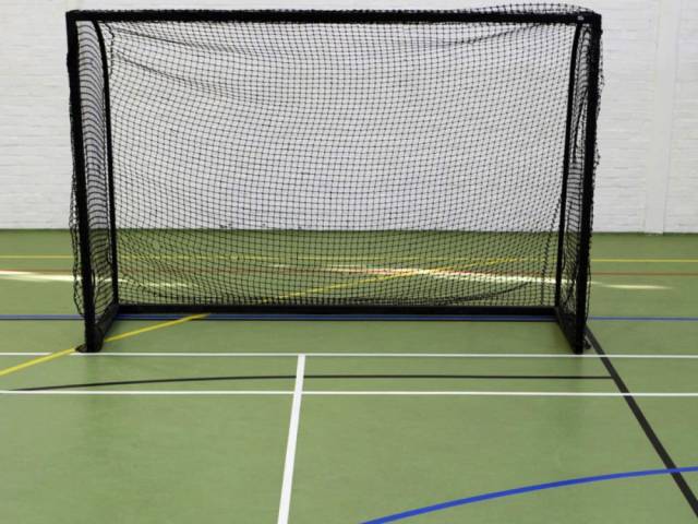 Линолеум для СПОРТА 60/1.0 