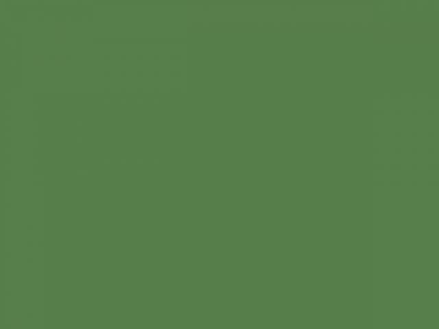 Линолеум для СПОРТА 60/1.0 Дизайн - ЗЕЛЕНЫЙ 1.5 м - 1