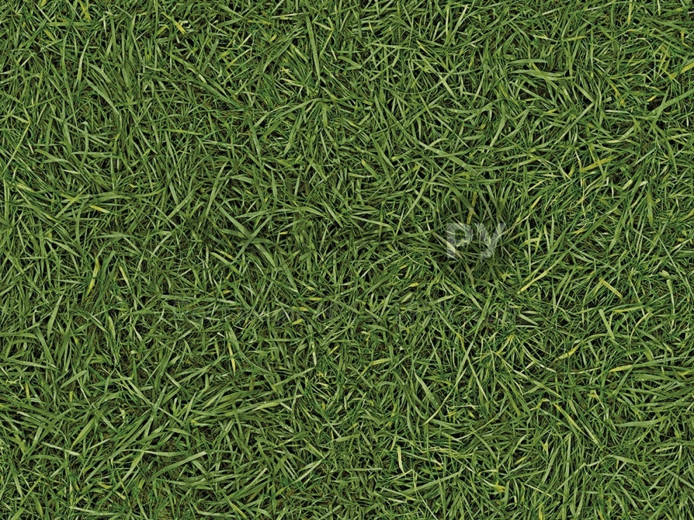 Дизайн - GRASS 25 - (2.0 м) - Линолеум бытовой SMART NEO 