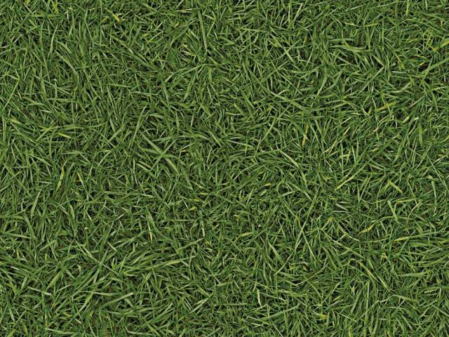 Линолеум бытовой SMART NEO Дизайн - GRASS 25 3.0 м - 1