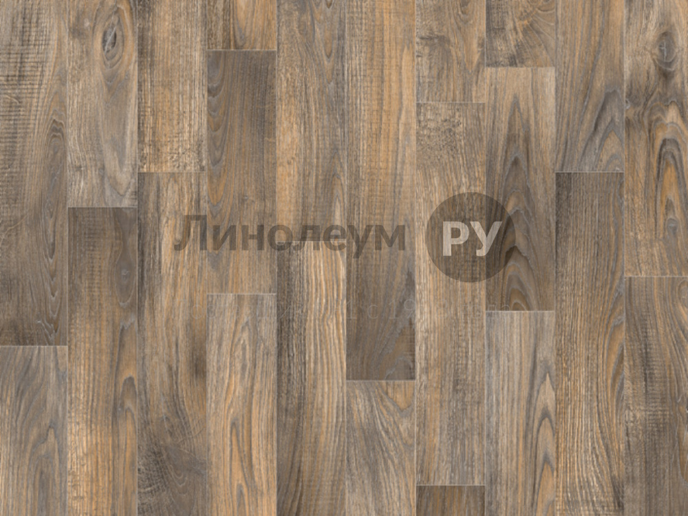 Дизайн - ДУБ КАБРАЛ 5 - (2.0 м) - Линолеум бытовой Lino HOME 26-0.2 