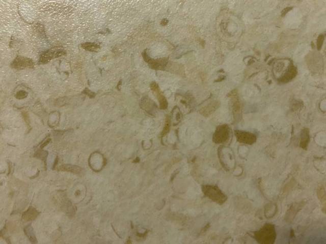 Линолеум FT MONOLITE Дизайн - VANILLA V-0003 2.0 м