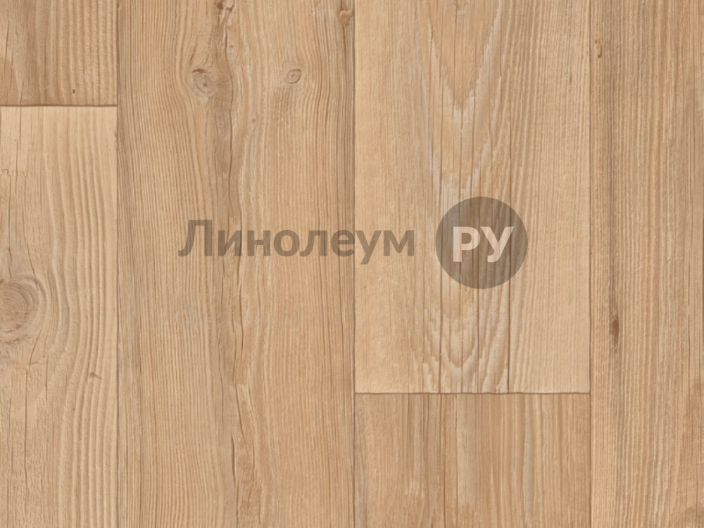 Дизайн - ACZENT WOOD TT537 - (3.0 м) - Линолеум коммерческий Lino PROFI TiTAN 70