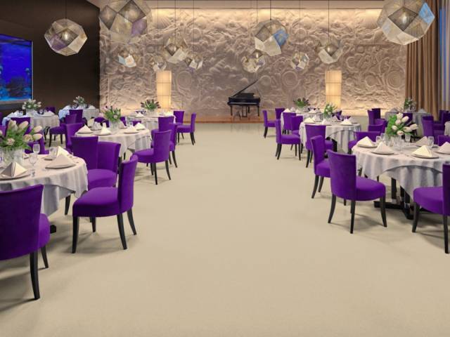 Линолеум коммерческий ACCZENT FORTO - 2