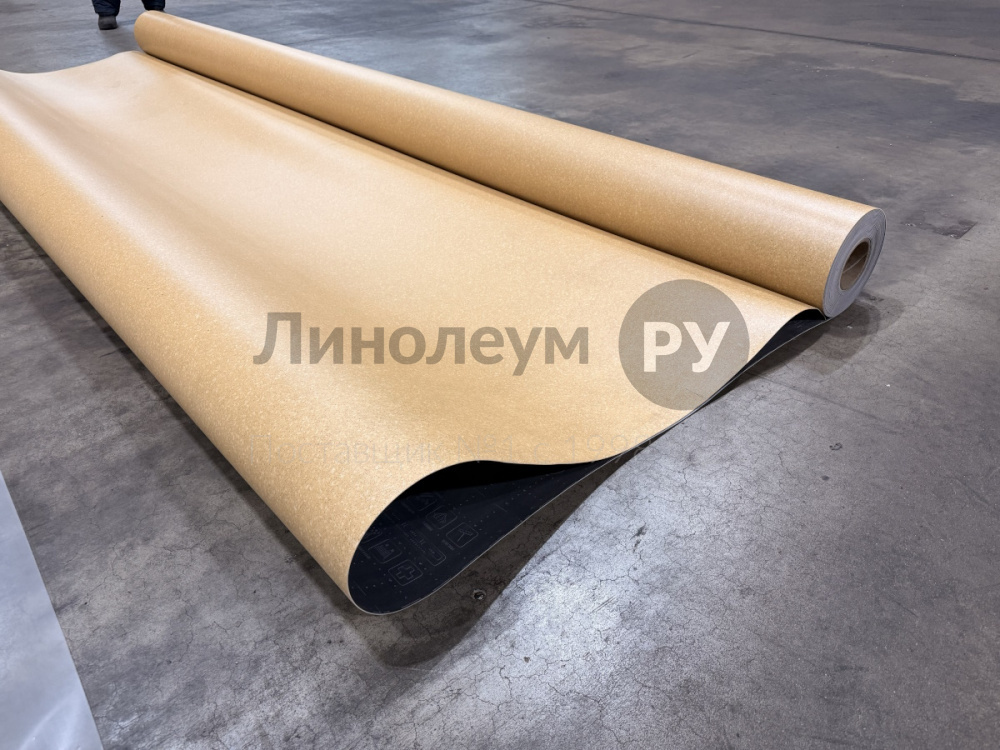 Линолеум коммерческий ACCZENT