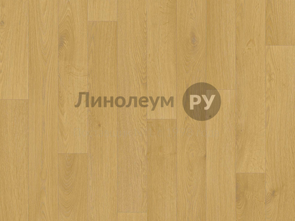 Дизайн - ДУБ КЛАССИК - (2.0 м) - Линолеум для СПОРТА 60/0.6 