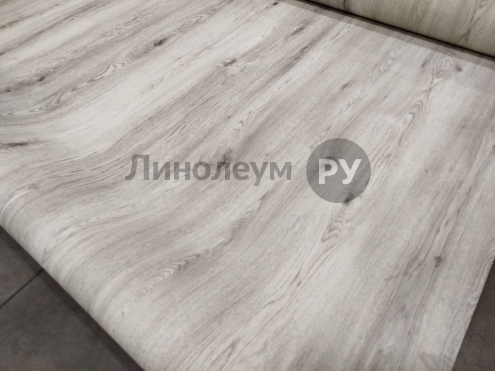 Дизайн - ДУБ ФЕРРА 100831 - (2.5 м) - Линолеум коммерческий Lino PROFI MAGNUM PRO 