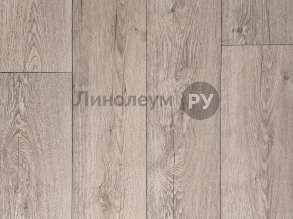 Дизайн - WiNTER OAK 702 - (2.0 м) - Линолеум полукоммерческий Lino HOME GOLF 