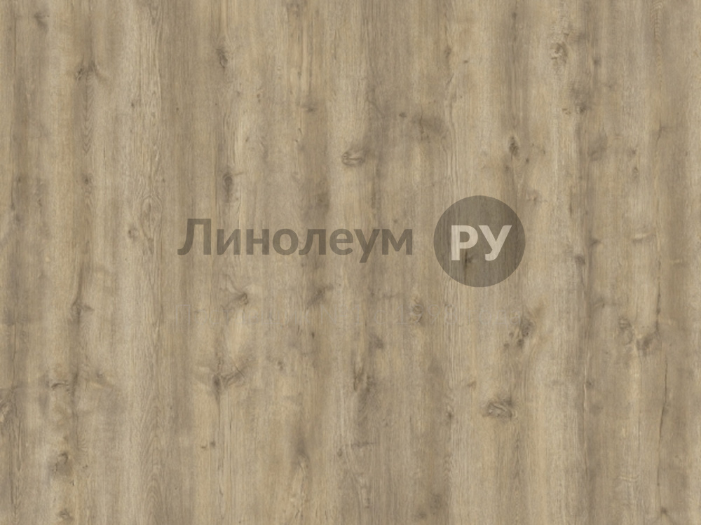 Дизайн - ДУБ ОРЕН 100547 - (2.5 м) - Линолеум коммерческий Lino PROFI MAGNUM PRO 