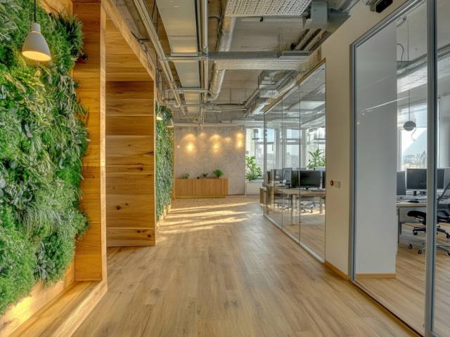 Линолеум LINO PROFI