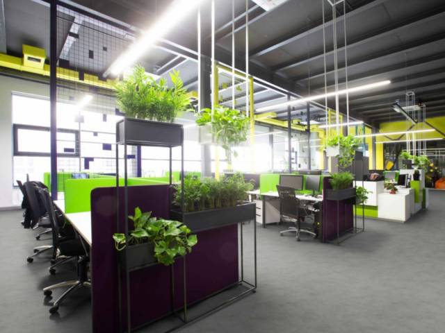 Линолеум коммерческий